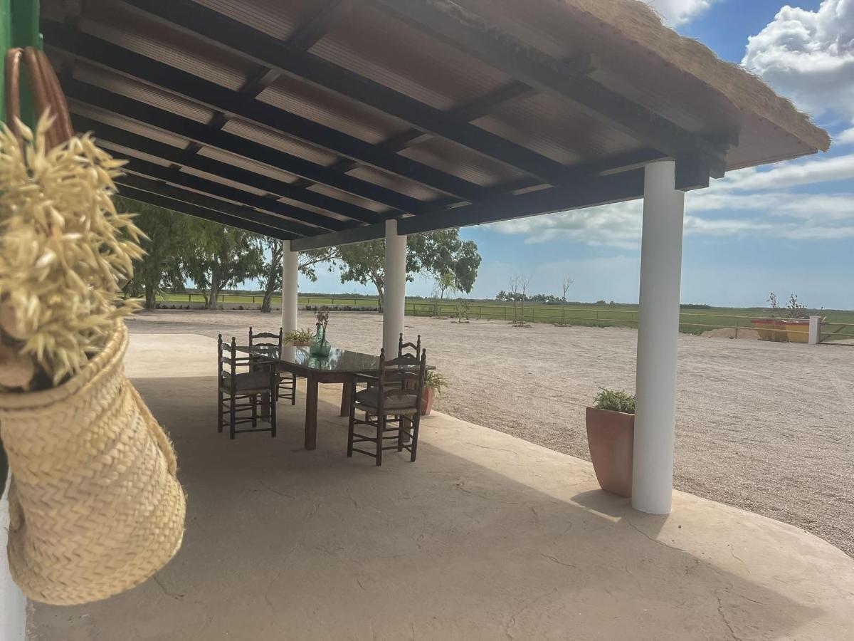 Masia Blanca Deltebre Esterno foto